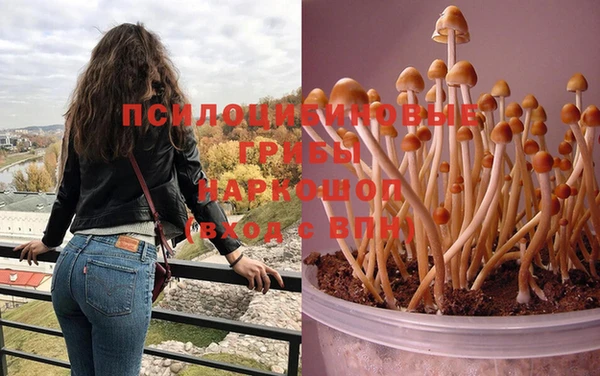 героин Тайга